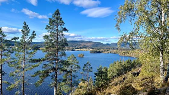 Hackere kan angripe drikkevannet ditt