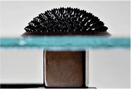Illustration: Et ferrofluid formet av en magnet. (From Wikipedia)