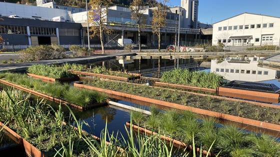 Vi må sikre en bærekraftig forvaltning av vannressursene våre