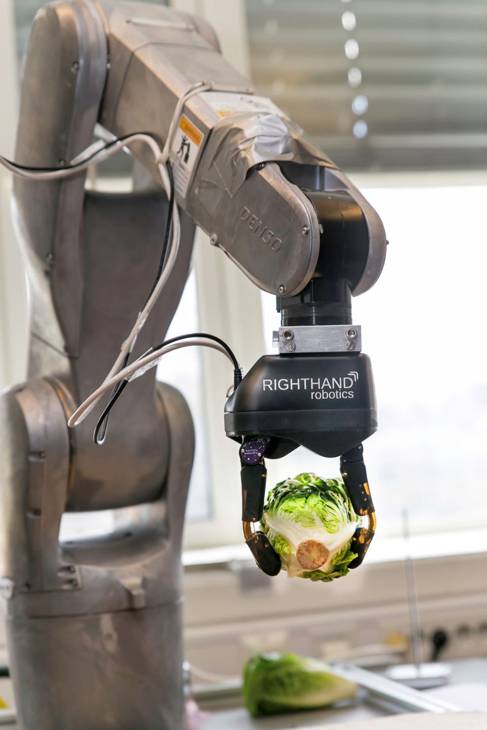 Robotisering er eneste garanti for at verdiskapningen i norsk matindustri forblir i Norge, ifølge artikkelforfatteren. I Prosjektet "iProcess" som Forskningsrådet finansierer, ser Sintef blant annet på hvordan roboter skal få til å gripe myke objekter som salat. Foto: Unni Skoglund / Sintef