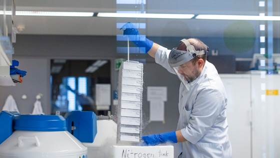 Nytt håp for pasienter med kronisk tarmbetennelse