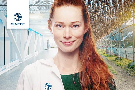 Join us in shaping the green transition in Norway and Europe