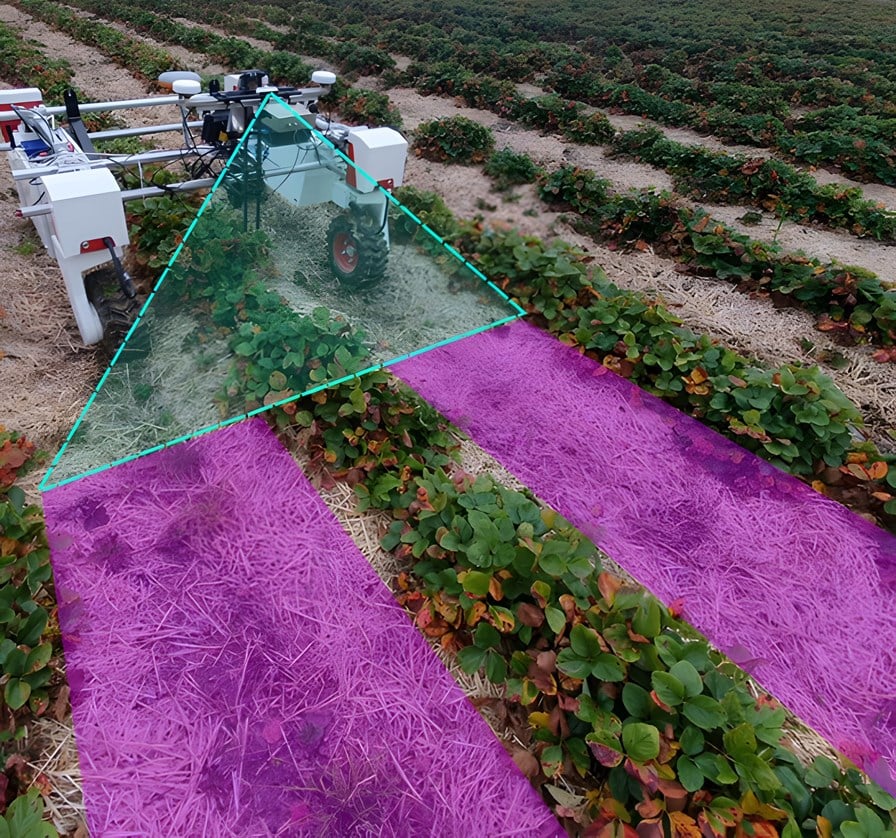 Deep learning for visual guidance of autonomous agri-robots - SINTEF