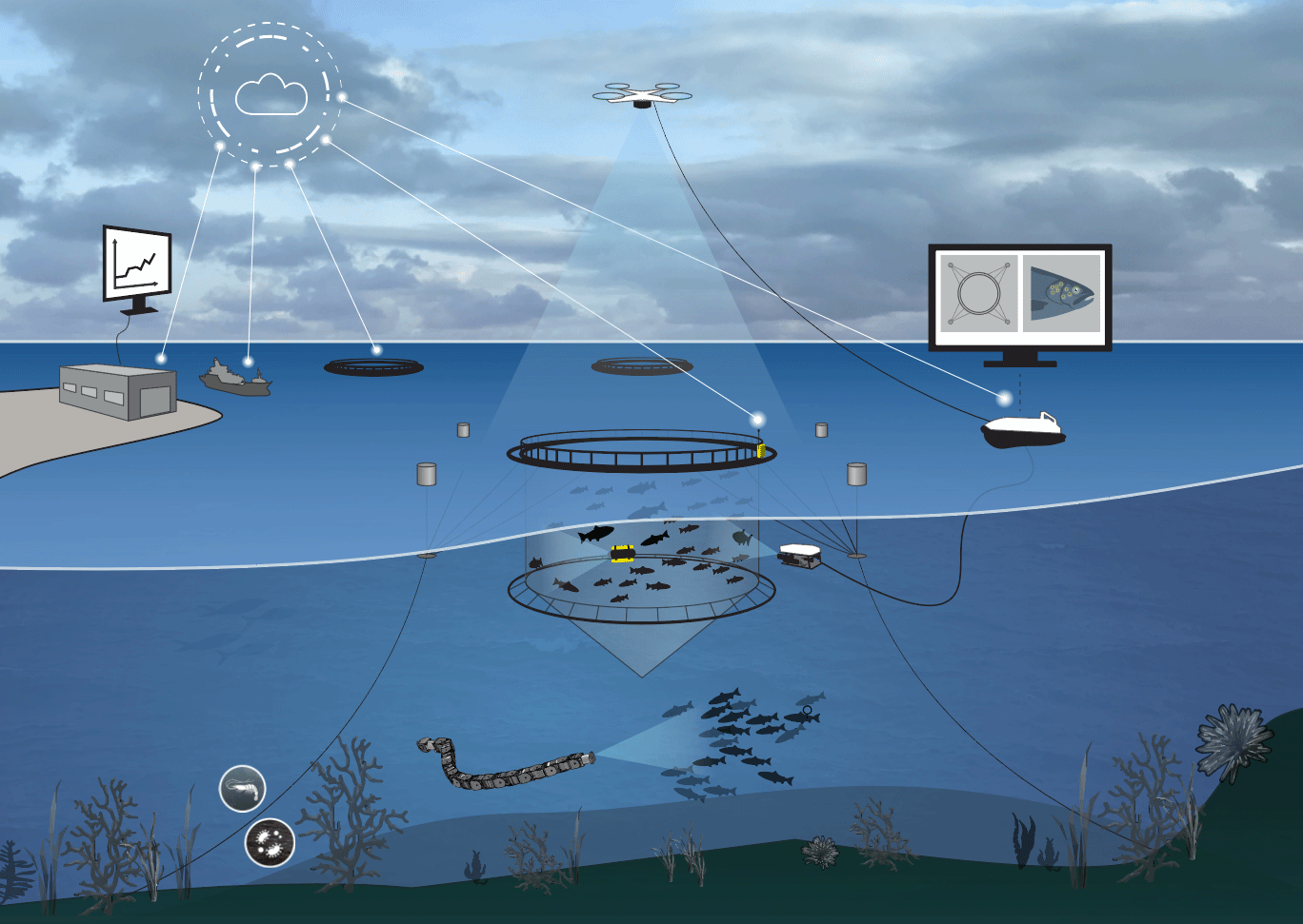 Advanced Aquaculture Technology Seminar 2019 - SINTEF