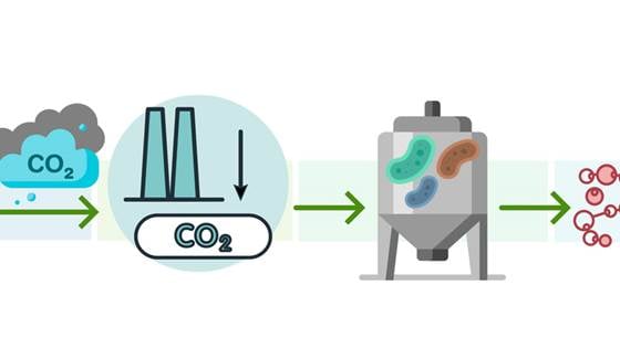 CO2Value