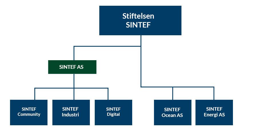 Organisasjonskart som viser eierskap og inndeling
