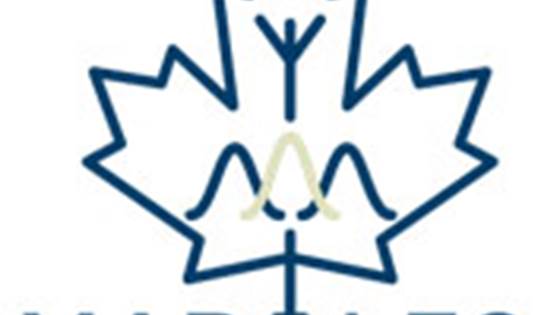 KSP MAPLES (Multi-fidelity and Probabilistic Lifetime Estimation for Slender Marine Structures)