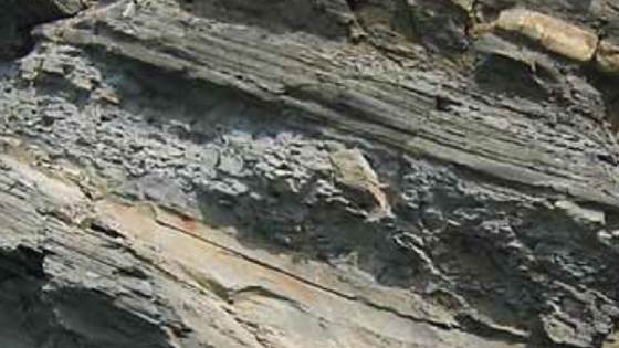 Big Pressure - Hybrid modelling with machine learning for overpressure and mud weight prediction