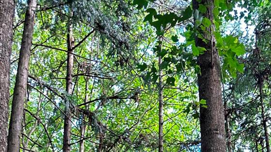 BioClima - Advancing Society Through Smarter Climate and Biodiversity Monitoring