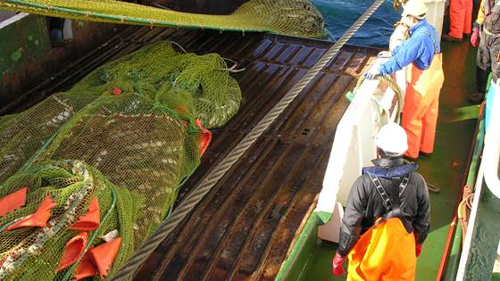 New technology for better catch handling (DANTEQ)