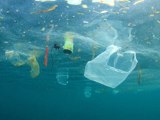 Plastic chemicals