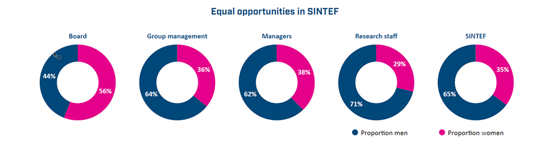 Key financial figures: Equal opportunities in SINTEF.