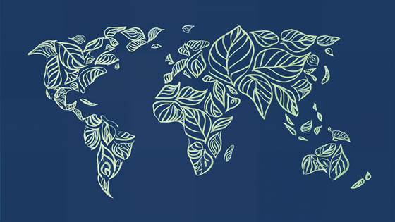COP29 - Morning briefing