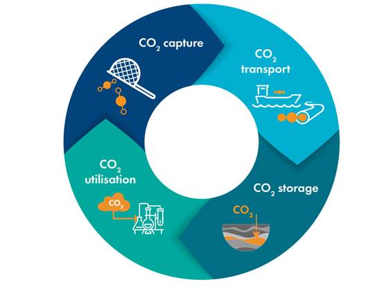 CCS value chains