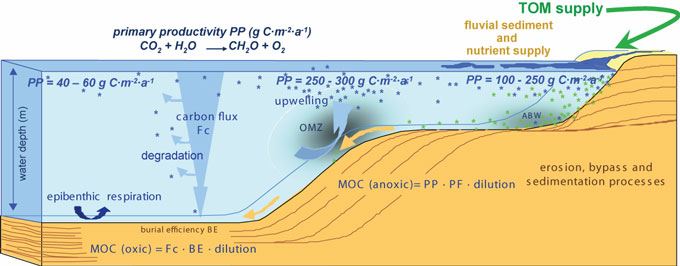 Organic facies prediction (OF-Mod) - SINTEF