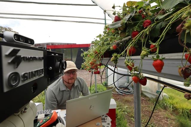 Forsker Anders Hansen i SINTEF med roboten som finner de aller beste jordbærene. Foto: SINTEF