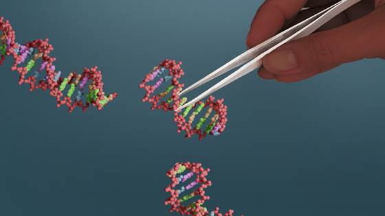 Saying no to all gene technology is an ethical short-circuit