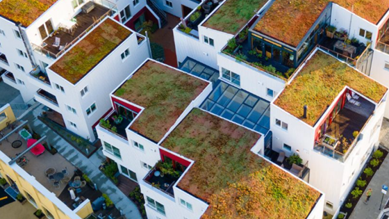 New guidelines for green roofs